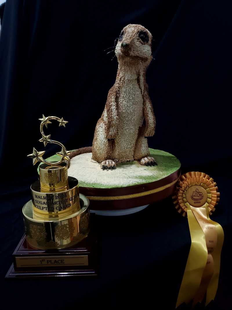 MALMEE CAKE SHOW - malmee7